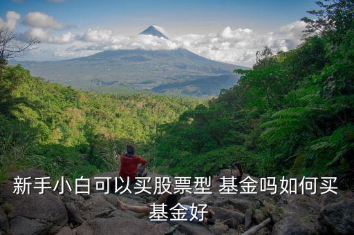 新手小白可以買(mǎi)股票型 基金嗎如何買(mǎi) 基金好