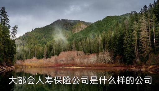  大都會人壽保險公司是什么樣的公司