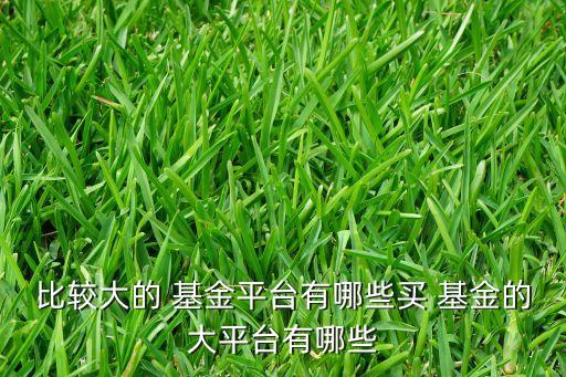 比較大的 基金平臺(tái)有哪些買(mǎi) 基金的大平臺(tái)有哪些