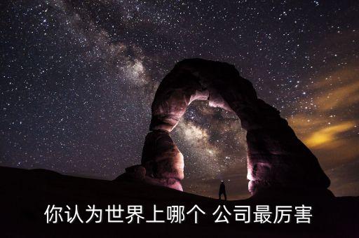你認為世界上哪個 公司最厲害