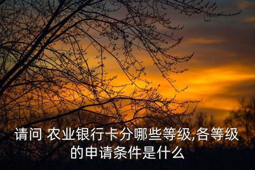 請(qǐng)問(wèn) 農(nóng)業(yè)銀行卡分哪些等級(jí),各等級(jí)的申請(qǐng)條件是什么