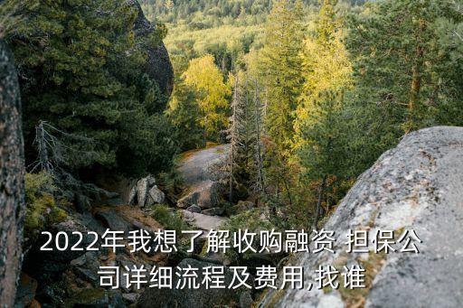 2022年我想了解收購融資 擔(dān)保公司詳細(xì)流程及費用,找誰