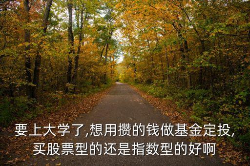 要上大學(xué)了,想用攢的錢(qián)做基金定投,買(mǎi)股票型的還是指數(shù)型的好啊