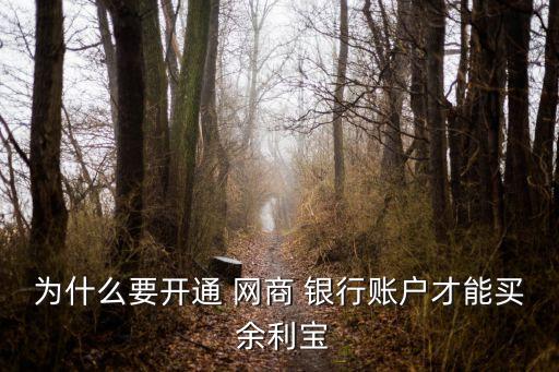 為什么要開(kāi)通 網(wǎng)商 銀行賬戶才能買 余利寶