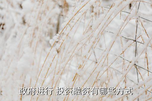 政府進(jìn)行 投資融資有哪些方式