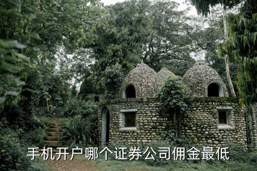 手機(jī)開戶哪個(gè)證券公司傭金最低