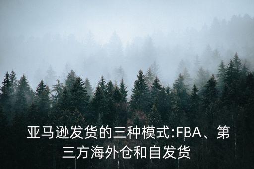  亞馬遜發(fā)貨的三種模式:FBA、第三方海外倉和自發(fā)貨