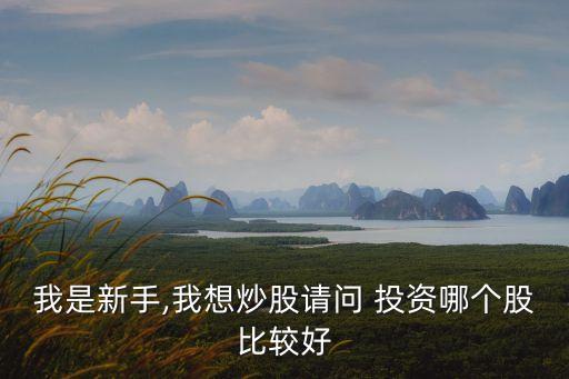 我是新手,我想炒股請(qǐng)問(wèn) 投資哪個(gè)股比較好
