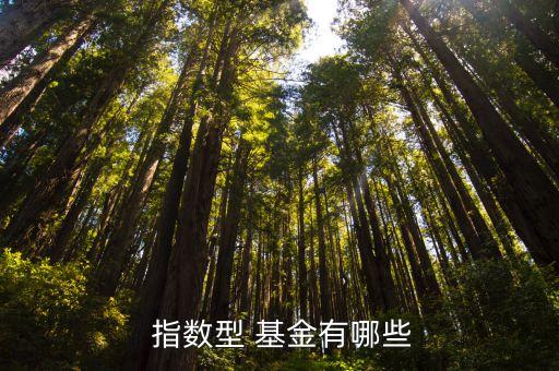  指數(shù)型 基金有哪些