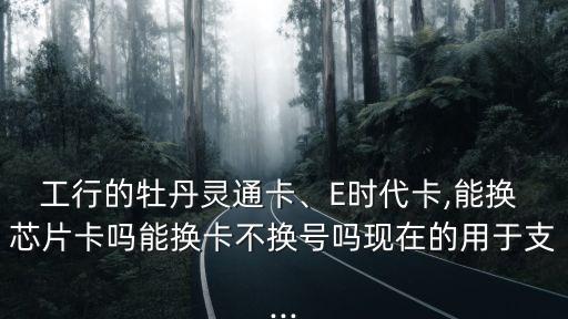 工行的牡丹靈通卡、E時(shí)代卡,能換 芯片卡嗎能換卡不換號(hào)嗎現(xiàn)在的用于支...