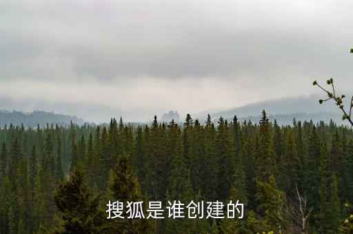 搜狐是誰創(chuàng)建的