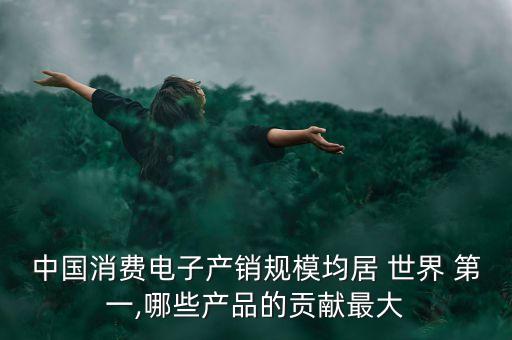 中國消費電子產銷規(guī)模均居 世界 第一,哪些產品的貢獻最大