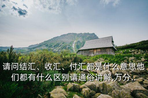 請問結(jié)匯、收匯、付匯都是什么意思他們都有什么區(qū)別請通俗講解,萬分...