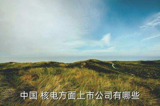中國(guó) 核電方面上市公司有哪些