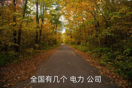 全國有幾個 電力 公司