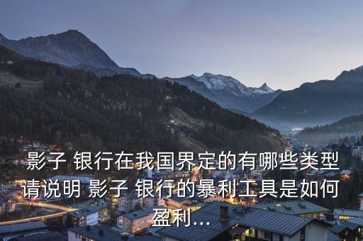  影子 銀行在我國(guó)界定的有哪些類(lèi)型請(qǐng)說(shuō)明 影子 銀行的暴利工具是如何盈利...