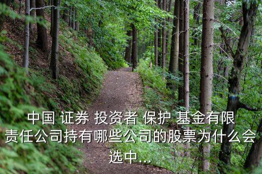 中國 證券 投資者 保護(hù) 基金有限責(zé)任公司持有哪些公司的股票為什么會選中...