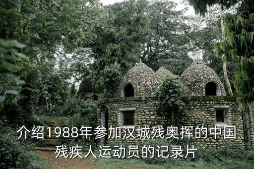 介紹1988年參加漢城殘奧揮的中國殘疾人運動員的記錄片