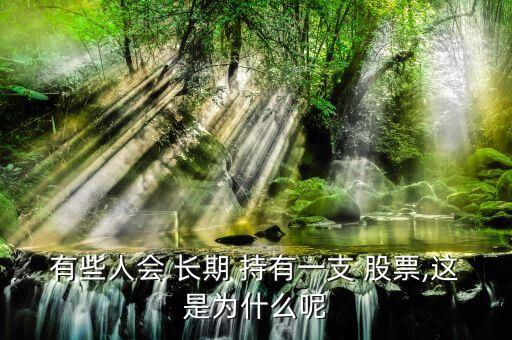 有些人會 長期 持有一支 股票,這是為什么呢