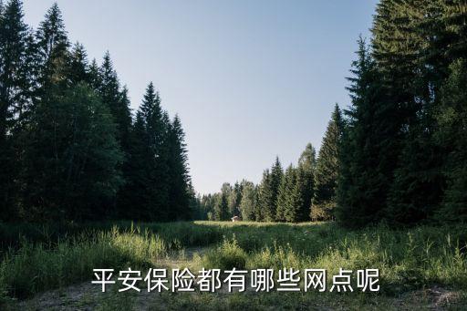 平安保險理賠靠的銀行有幾個