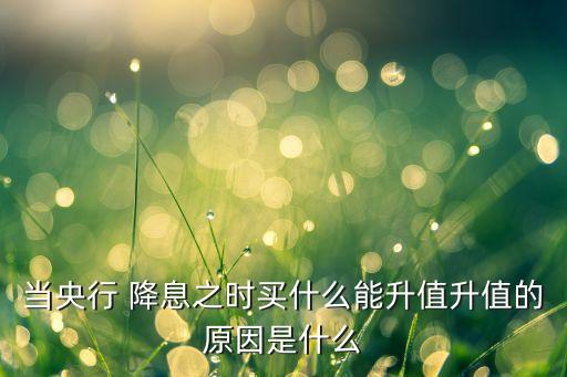 當(dāng)央行 降息之時(shí)買什么能升值升值的原因是什么