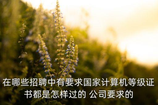 在哪些招聘中有要求國家計(jì)算機(jī)等級證書都是怎樣過的 公司要求的