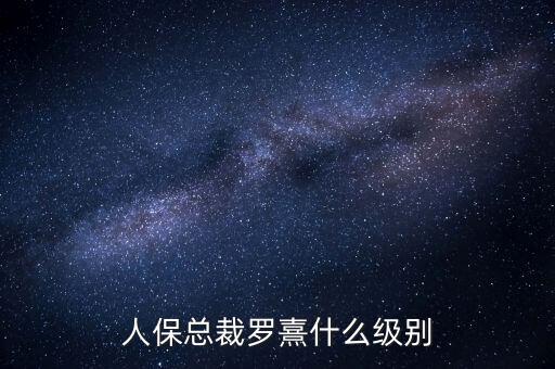 人保總裁羅熹什么級別