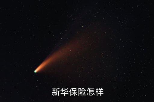  新華保險怎樣