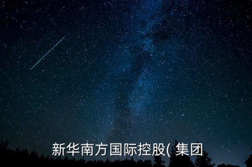  新華南方國際控股( 集團