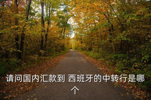 請問國內(nèi)匯款到 西班牙的中轉(zhuǎn)行是哪個(gè)
