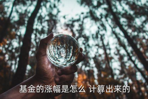  基金的漲幅是怎么 計算出來的