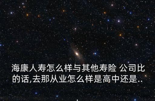 ?？等藟郾ｋU(xiǎn)公司2012年報(bào)表