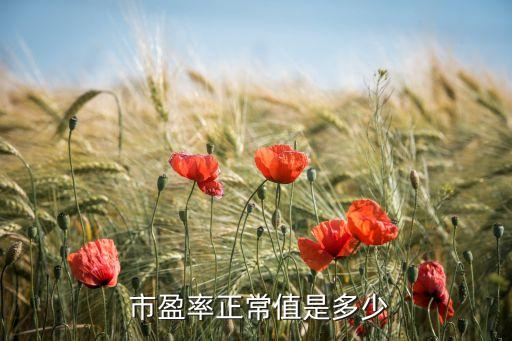 股票市盈率數據,股票的市盈率高好還是低好