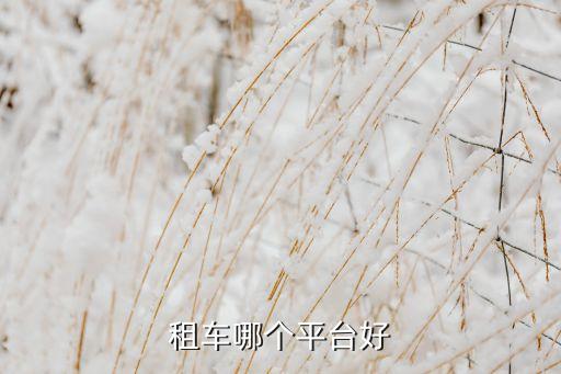 租車哪個(gè)平臺好