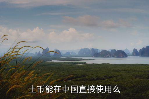 土庫(kù)曼斯坦的錢(qián)在中國(guó)那里能對(duì)