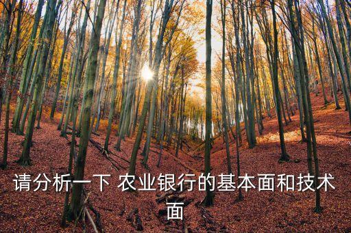 請分析一下 農(nóng)業(yè)銀行的基本面和技術(shù)面
