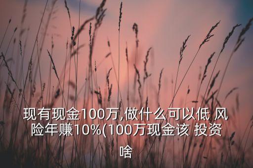 現(xiàn)有現(xiàn)金100萬,做什么可以低 風(fēng)險年賺10%(100萬現(xiàn)金該 投資啥