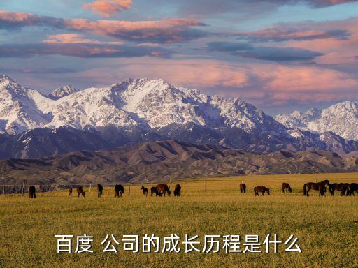 百度 公司的成長(zhǎng)歷程是什么