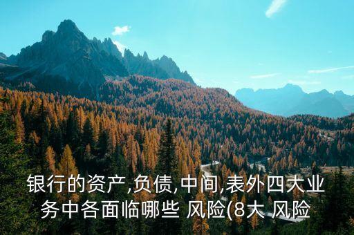 銀行的資產(chǎn),負債,中間,表外四大業(yè)務(wù)中各面臨哪些 風(fēng)險(8大 風(fēng)險