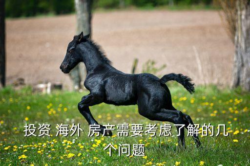  投資 海外 房產(chǎn)需要考慮了解的幾個問題