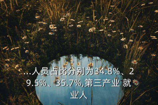 ...人員占比分別為34.8%、29.5%、35.7%,第三產(chǎn)業(yè) 就業(yè)人