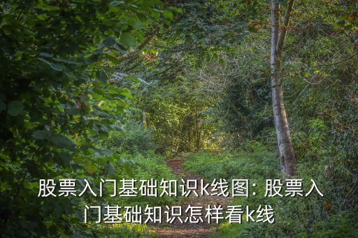  股票入門基礎(chǔ)知識(shí)k線圖: 股票入門基礎(chǔ)知識(shí)怎樣看k線