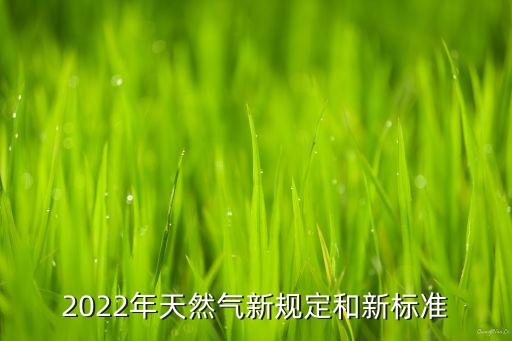 2022年天然氣新規(guī)定和新標準