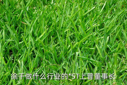 徐千做什么行業(yè)的*ST上普董事長