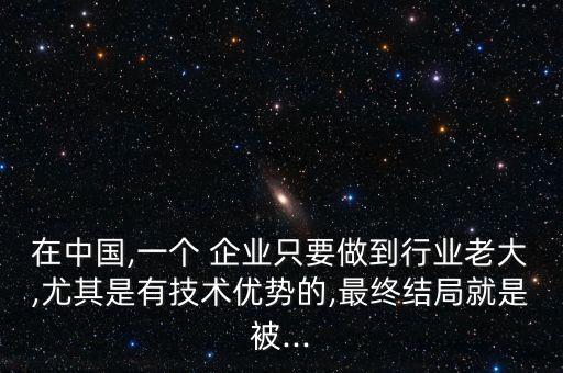 中國(guó)企業(yè)會(huì)私有化嗎,企業(yè)私有化的目的是什么?