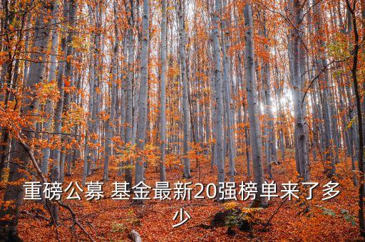 重磅公募 基金最新20強(qiáng)榜單來了多少
