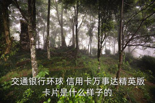  交通銀行環(huán)球 信用卡萬(wàn)事達(dá)精英版卡片是什么樣子的