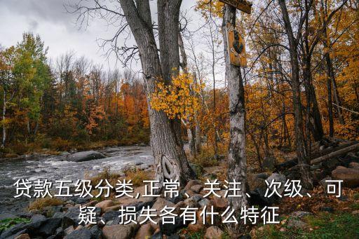貸款五級分類,正常、關注、次級、可疑、損失各有什么特征