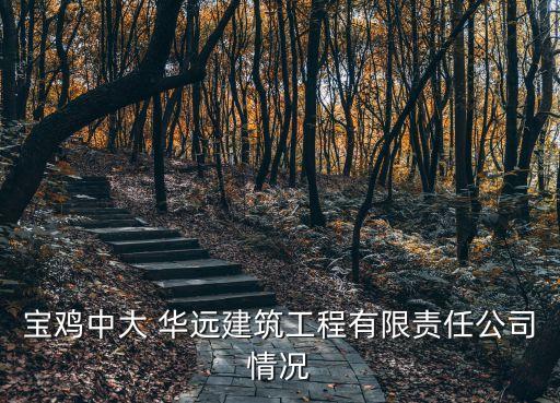 寶雞中大 華遠建筑工程有限責任公司情況