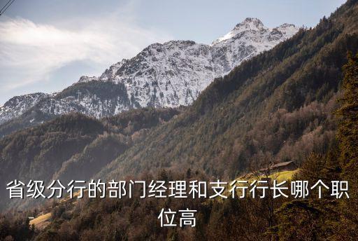 省級分行的部門經理和支行行長哪個職位高